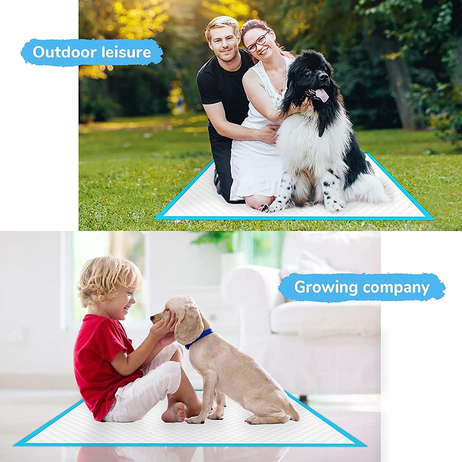 Dog and Puppy Training Pads （40 Pack）, Disposable Dog Pee Pads, Ultra Absorbent & Leak-Proof Pet Underpads, Dry Quickly Pee Pad for Dog Cats Rabbits or Other House Training Pets (60*60 cm)