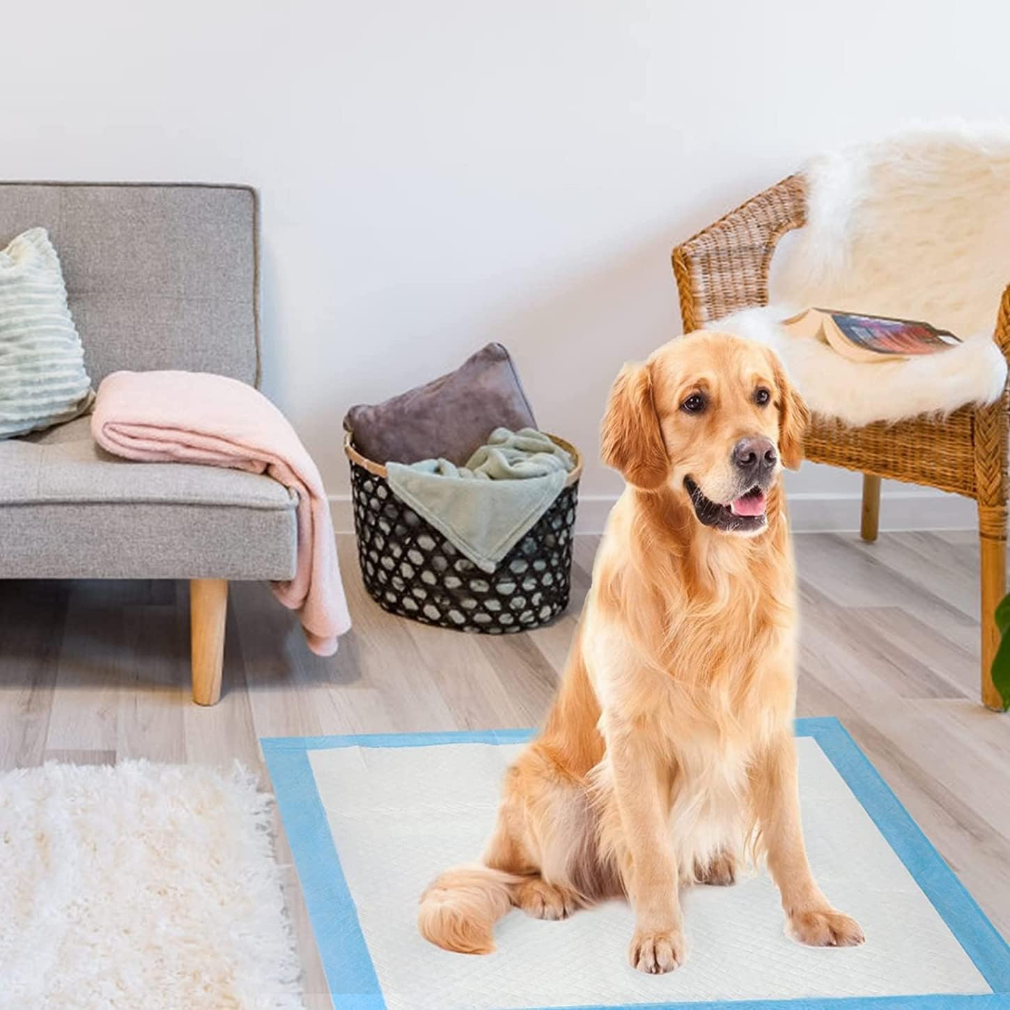 M.A&F's Disposable Absorbent Quick Drying Leak-Proof Pee Pads, Disposable Training Pads For Pets with 5 Highly Absorbent Layers, Puppy Pads For Potty Training For Pets 45X60cm, 50 Pieces