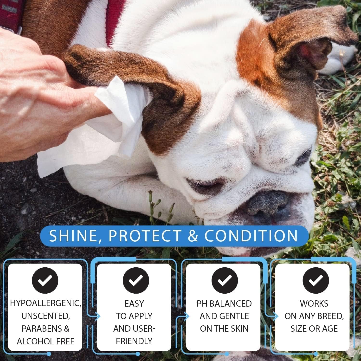 M.A&F's Dog Wipes 160pcs, Large Pet Grooming Wipes for Dogs & Cats, for full body, eye wipes, ear wipes, Paws, & Butt Unscented (2 pack)